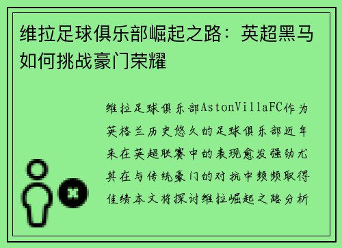 维拉足球俱乐部崛起之路：英超黑马如何挑战豪门荣耀